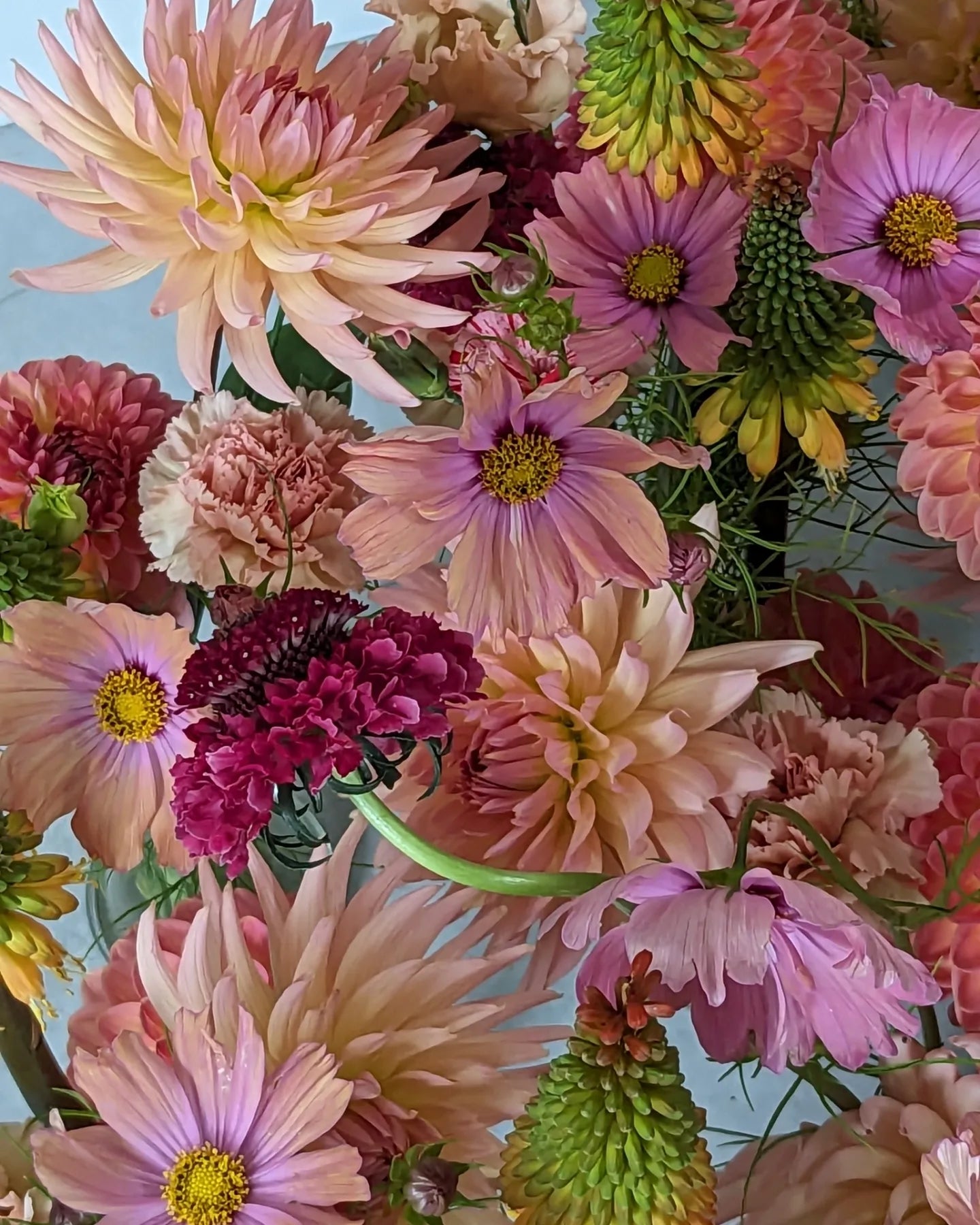 Flower Bouquets