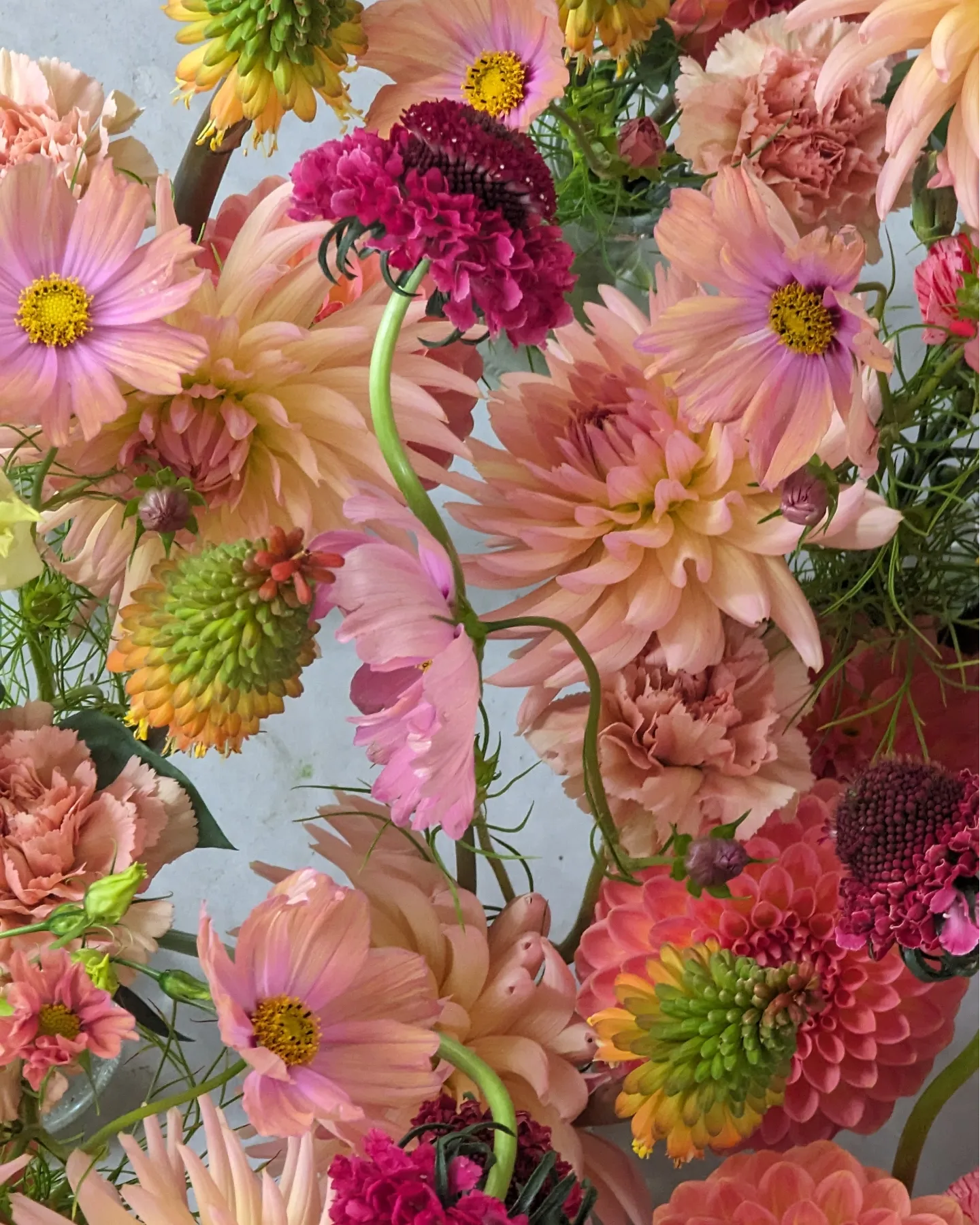 Flower Bouquets