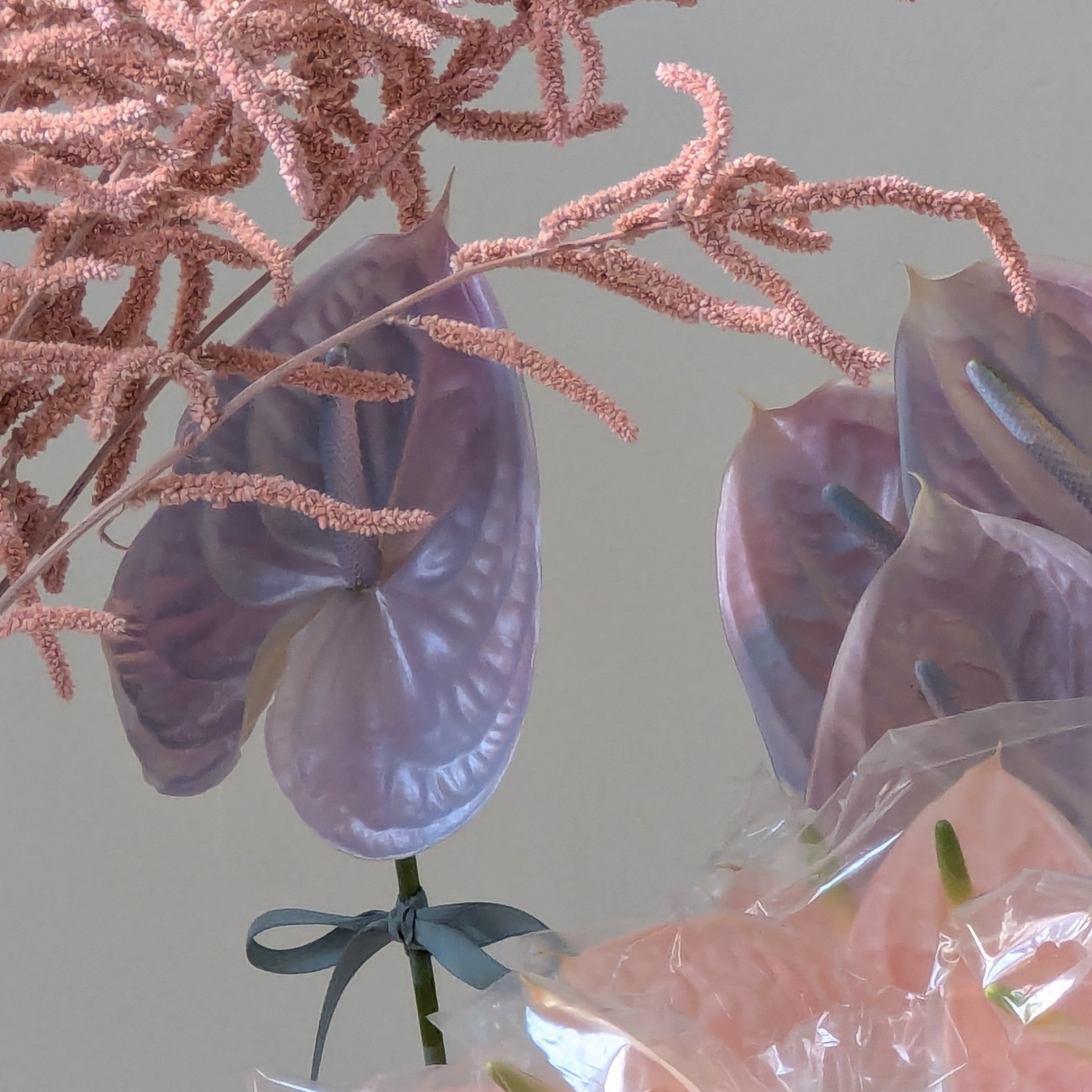 holographic anthurium Unicorn Anthurium Gift – Yoko Negi, Flower Studio